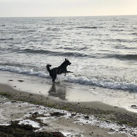 Apartamento Rosengarten Fehmarn