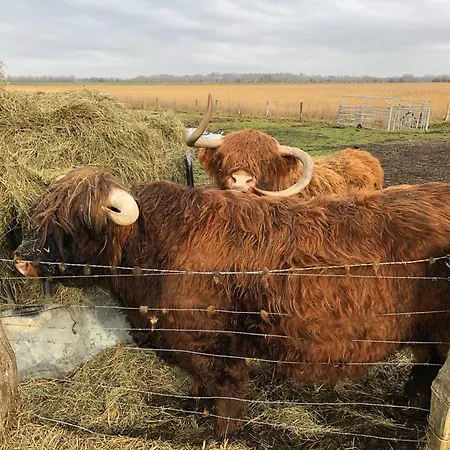 아파트 Rosengarten 페마른
