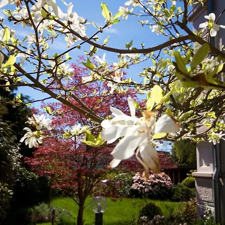 Rosengarten Fehmarn