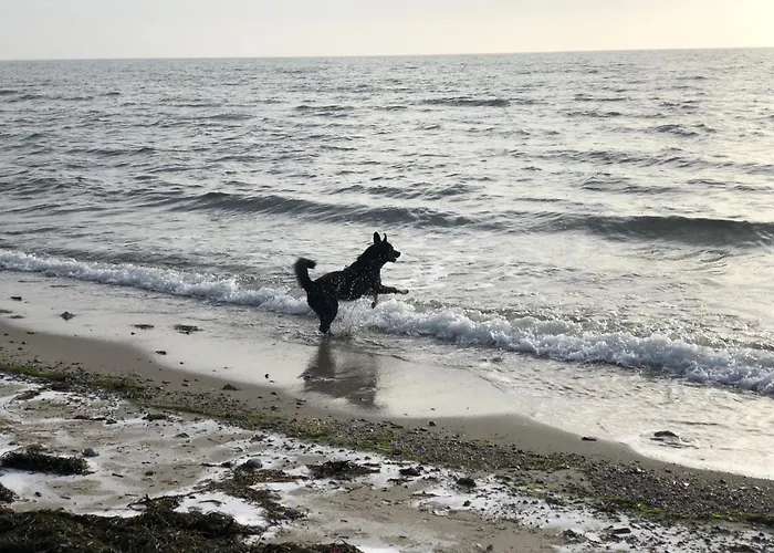 Apartment Rosengarten Fehmarn