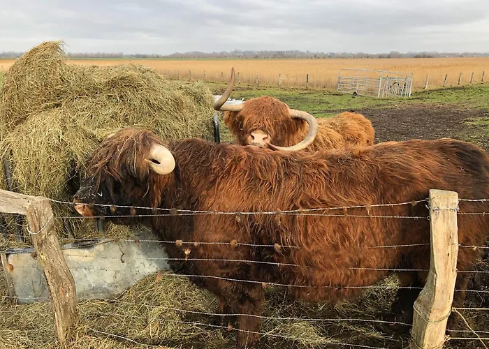 아파트 Rosengarten 페마른