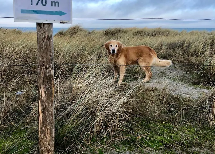 Rosengarten Apartment *