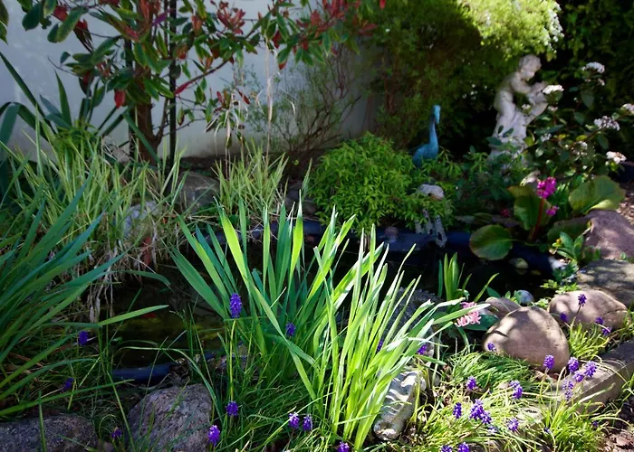 Rosengarten * Fehmarn